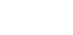 Wiseline Logo